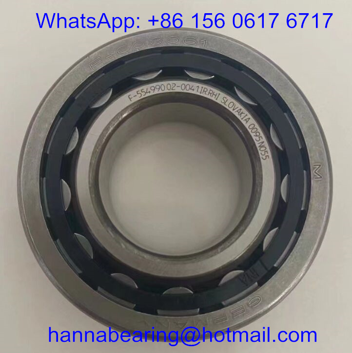 F-608061 GERMANY Auto Bearings / Cylindrical Roller Bearing 24x50x16mm