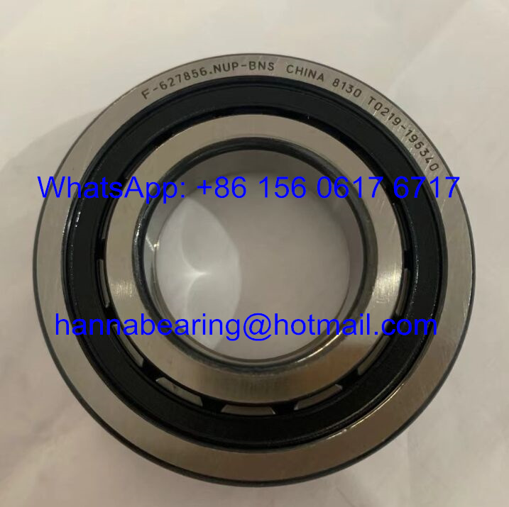F-627856.NUP-BNS Cylindrical Roller Bearing / Automobile Bearings