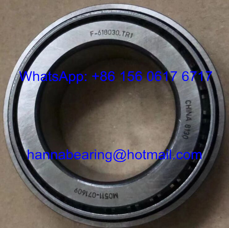 F-618030.TR1 Automobile Bearings / Tapered Roller Bearing