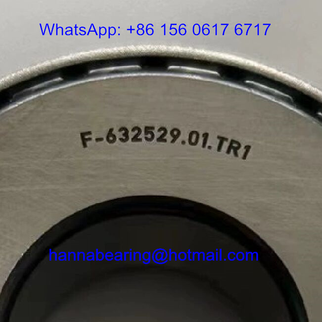 F-632529.01.TR1 Automobile Bearings / Tapered Roller Bearing
