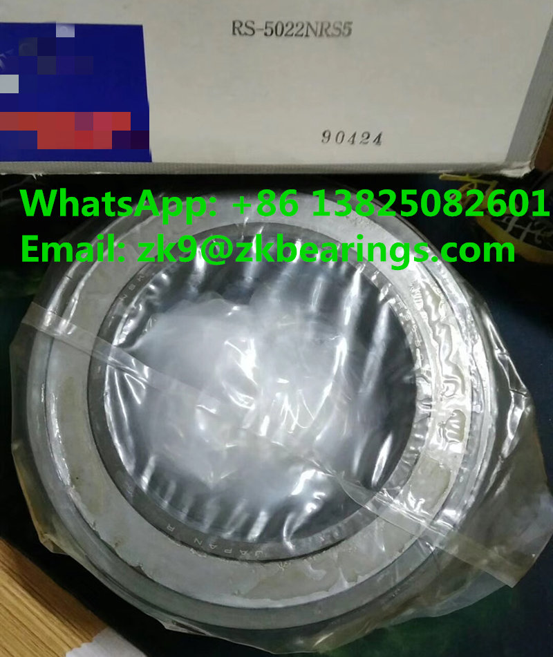 RS-5022NRS5 Double Row Cylindrical Roller Bearing 110x170x80 mm