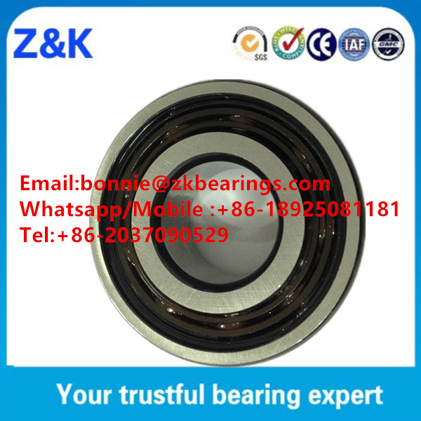4204-2RS Sealed Deep Groove Ball Bearing with Long Life