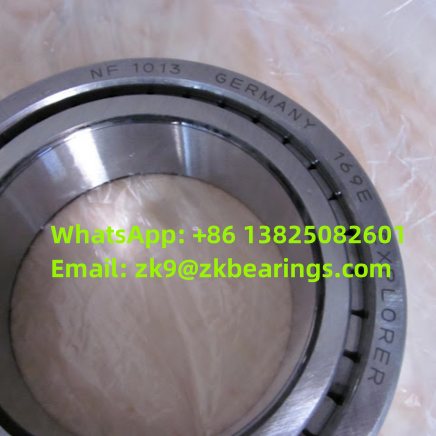 NF 1013 Single Row Cylindrical Roller Bearing 65x100x18 mm
