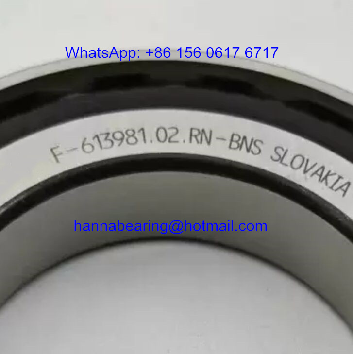 F-613981.02 Gearbox Bearing F-613981 Cylindrical Roller Bearing