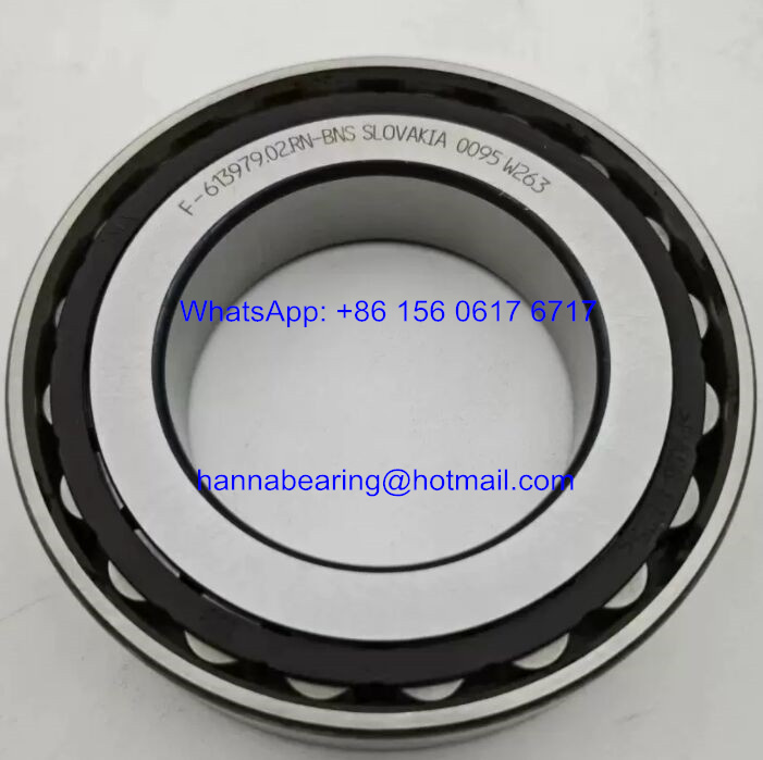 F-613979.02.RN-BNS Auto Gearbox Bearing / Cylindrical Roller Bearing