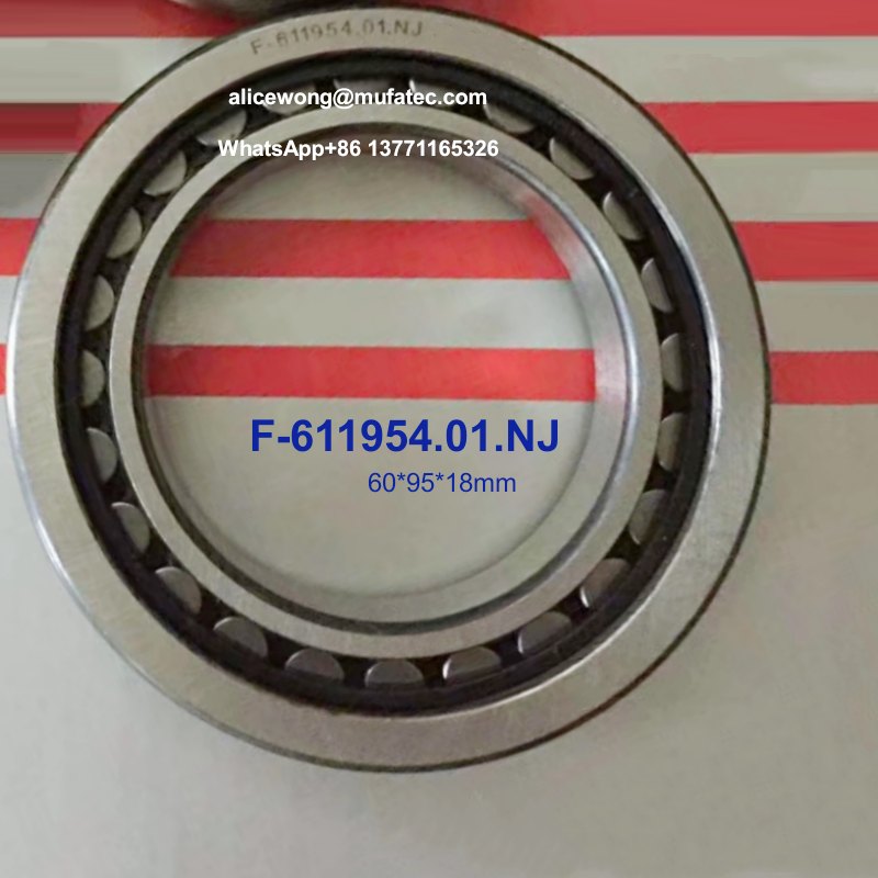 F-611954.01.NJ F-611954 automotive wheel hub bearings 60*95*18mm