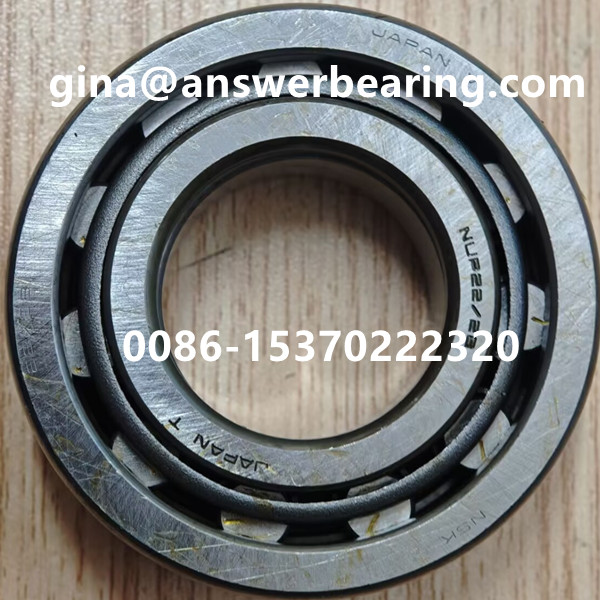 NUP22/28WC3 Auto Bearing 28x58x19mm OEM 90365-28015 Bearing