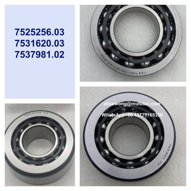 7525256.02 7525256 F-234975.10 BMW differential bearings double row ball bearings 31.75x73.025x24/29.375mm