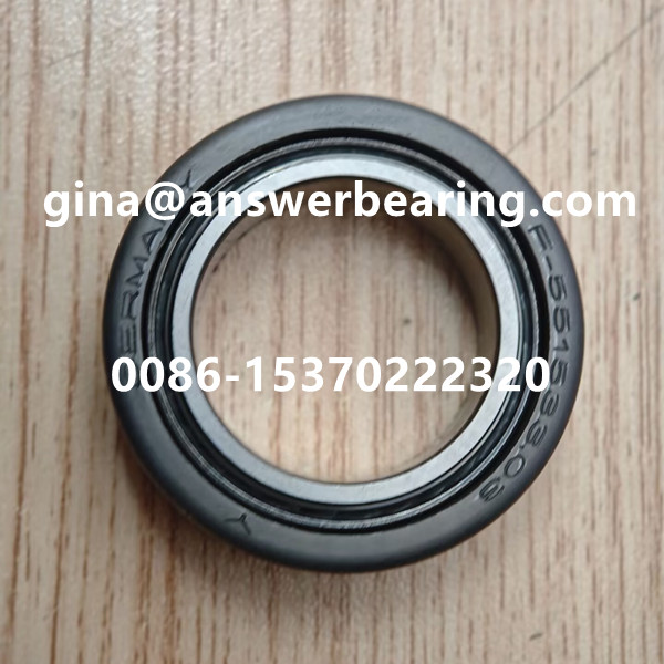 Hot Sales F-551533.03 Auto Bearing/Deep Groove Ball Bearing 24x38x10mm