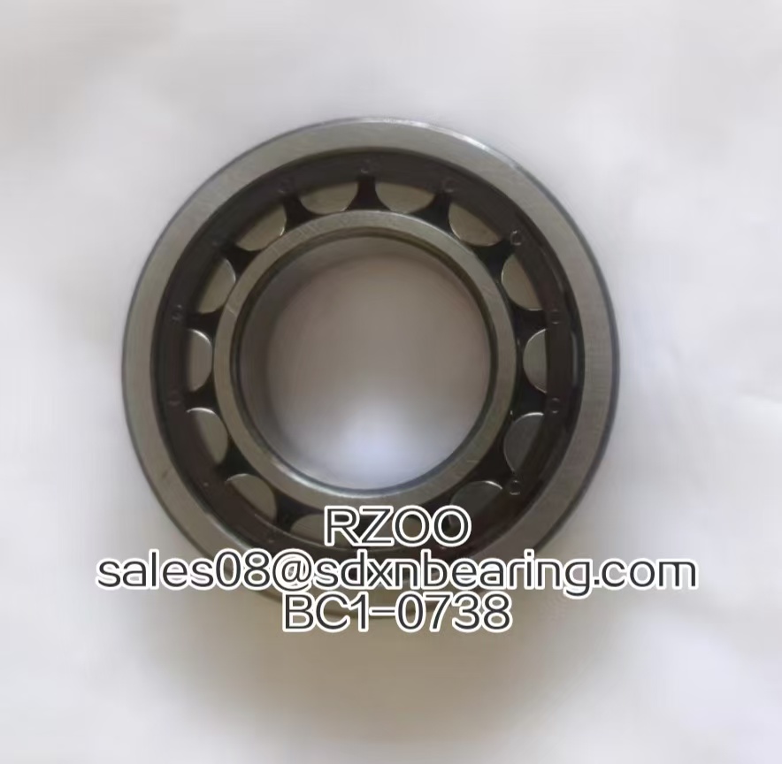 BC1-0738-Single row cylindrical roller bearing-40×80.2×18mm