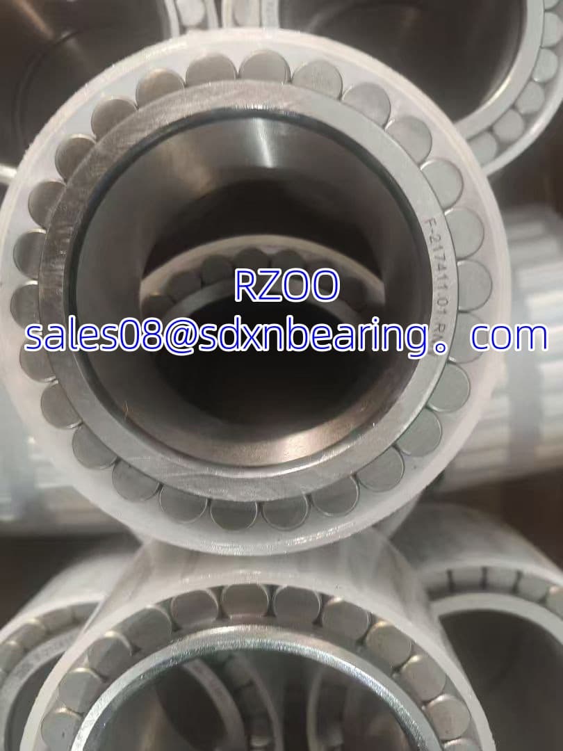F-217411.01.RNN Single-row Cylindrical Roller Bearing-65×93.1×55mm