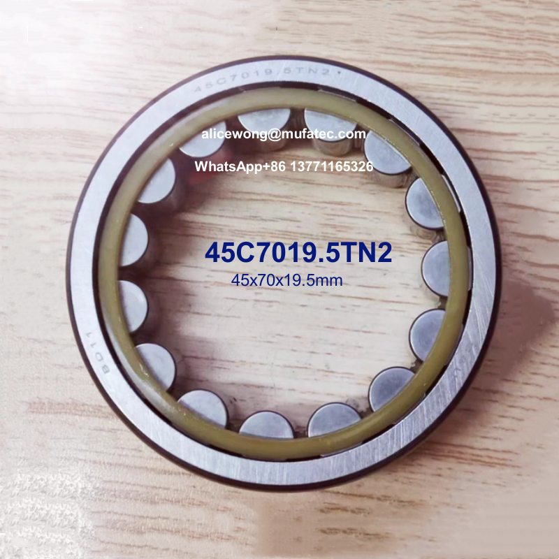 45C7019.5TN2 45x70x19.5mm transmission bearings nylon cage cylindrical roller bearings