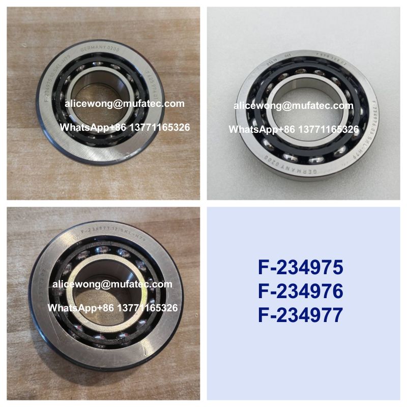 BMW E81/E82/E87/E88 (1 Series), E90 (3 Series), E60 (5 Series), E70 (X5) Differential Bearing Kit F-234975.10 F-234976.06 F-234977.12