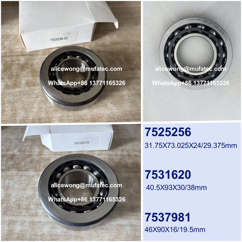 BMW X5 E53 E70 Differential Bearing Kit 7525256.03 7531620.03 7537981.02