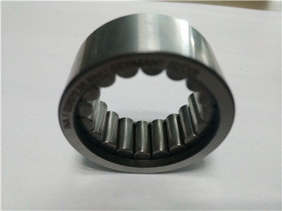 F-207813.NUP hydraulic pumps cylindrical roller bearing