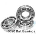 6020 Deep Groove Ball Bearings，6020Z, 6020ZZ, 6020RZ,60202RZ,6020RS, 6020 2RSBearing