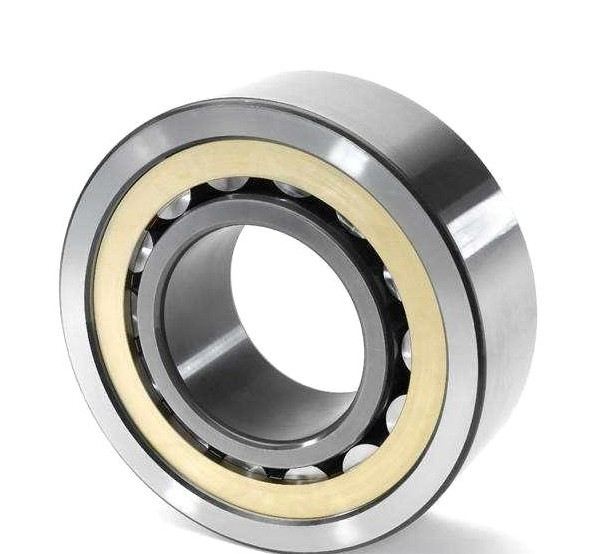 RN206 Cylindrical Roller Bearing 30×53.5×16mm