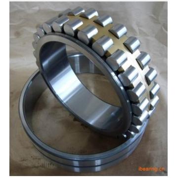N206EM Cylindrical roller bearing