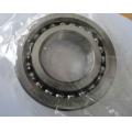 BS1747TN1/P4 Screw ball bearing