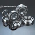 6010-2RS 6010-ZZ ball bearing