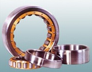 NU 1956M Cylindrical Roller Bearing 280x380x46mm