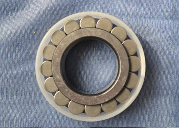 Rsl182204 Single-Row Full Complement Cylindrical Roller Bearing 20x41.47x18mm
