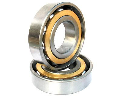 SSNF208 bearing