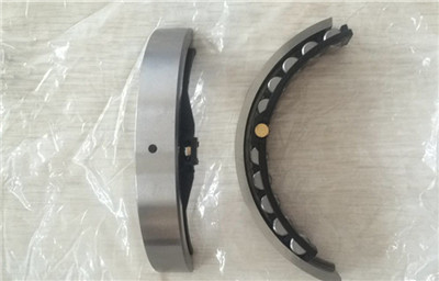 F-225036.1 hydraulic pumps cylindrical roller bearing