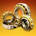 Cylindrical Roller Bearing NU1040