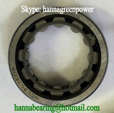 NCL307 Cylindrical Roller Bearing 35x80x21mm