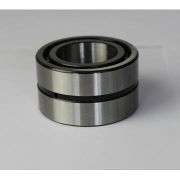 SL185004 full Complement Cylindrical Roller Bearings
