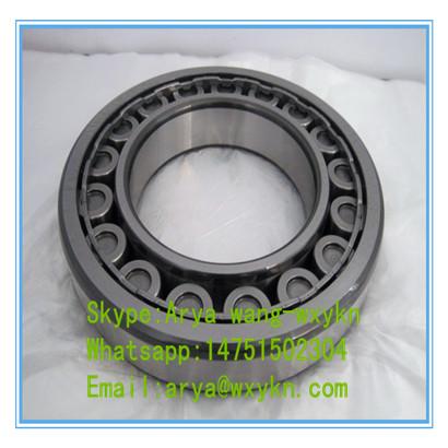 NUP207EM Cylindrical Roller Bearing 35x72x17mm