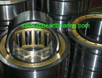 250RN92 single row cylindrical roller bearing