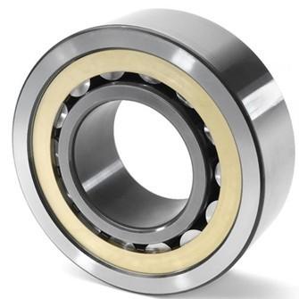 NJ 220 Cylindrical Roller Bearing With High Quality