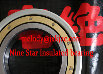 6030MC3/J20AA insulated bearing