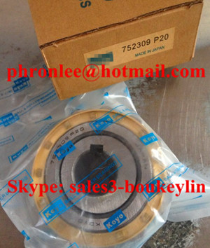 752309 P20 Overall Eccentric Bearing 45x113x62mm