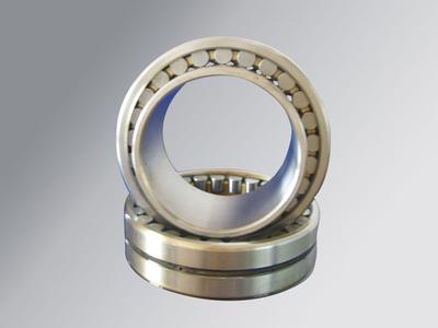 SSNU2305 bearing