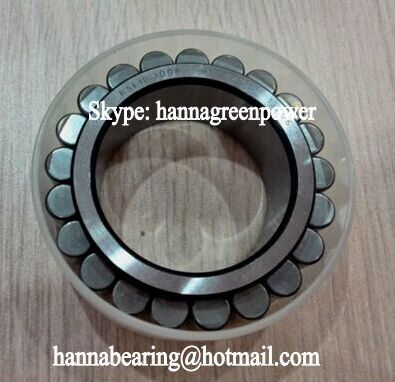 RSL18 2205 Full Complement Cylindrical Roller Bearing (Without Cup) 25x46.52x18mm