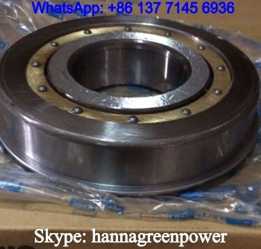NUP313-4NS02C3 Cylindrical Roller Bearing 65x150x33mm