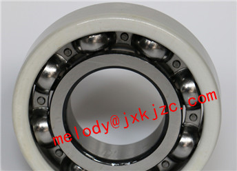 6410/C3J20AA insularted bearing