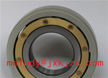 6320M/C3J20AA insulated bearing