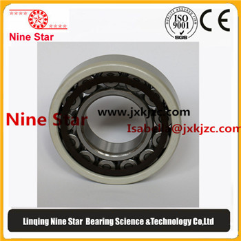 NU214MC4VL0241 Insulated bearings 70x125x24mm