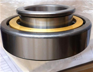 NJ212EM Cylindrical Roller Bearing 60×110×22 mm