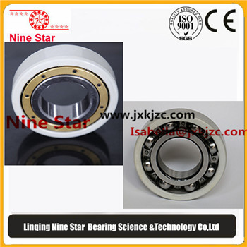 6319M/C3VL0241 Insulated bearings 95x200x45mm
