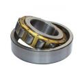 N248 cylindrical roller bearing