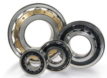 NF310M Cylindrical Roller Bearing 50x110x27mm