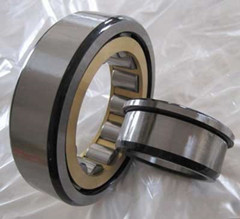 NJ202 Cylindrical Roller Bearing