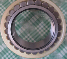 SL014934 Cylindrical Roller Bearing