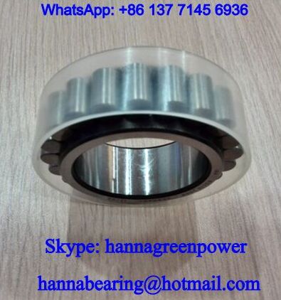 CPM2165 Full Complement Cylindrical Roller Bearing 20*36.81*16mm