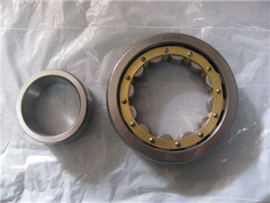 NJ1012M Cylindrical Roller Bearing 60×95×18 mm